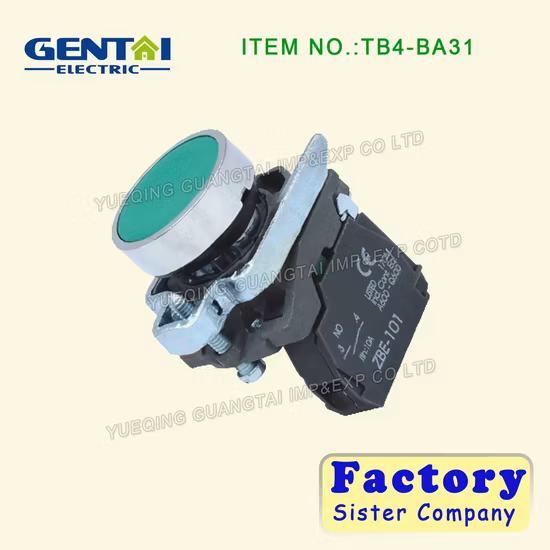 Metal Type Push Button Switch/Pushbutton with 6-380V