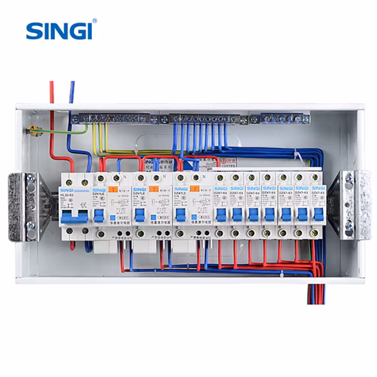 工場出荷時の価格 Singi ブレーカー DC 低電圧電気回路ブレーカー Dz47-63